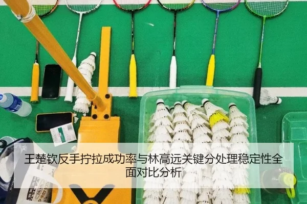 wang-chu-qin-fan-shou-ning-la-cheng-gong-lv-yu-lin-gao-yuan-guan-jian-fen-chu-li-wen-ding-xing-quan-mian-dui-bi-fen-xi-2-620.jpg